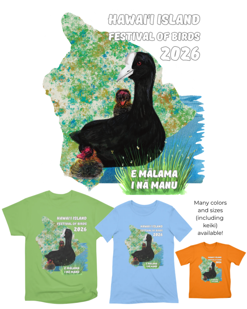 festival shirt artwork of Hawaiian Coot and chicks in front of Hawaii Island shape and water. Three different shirt examples are pictures in green, blue and a youth shirt in orange