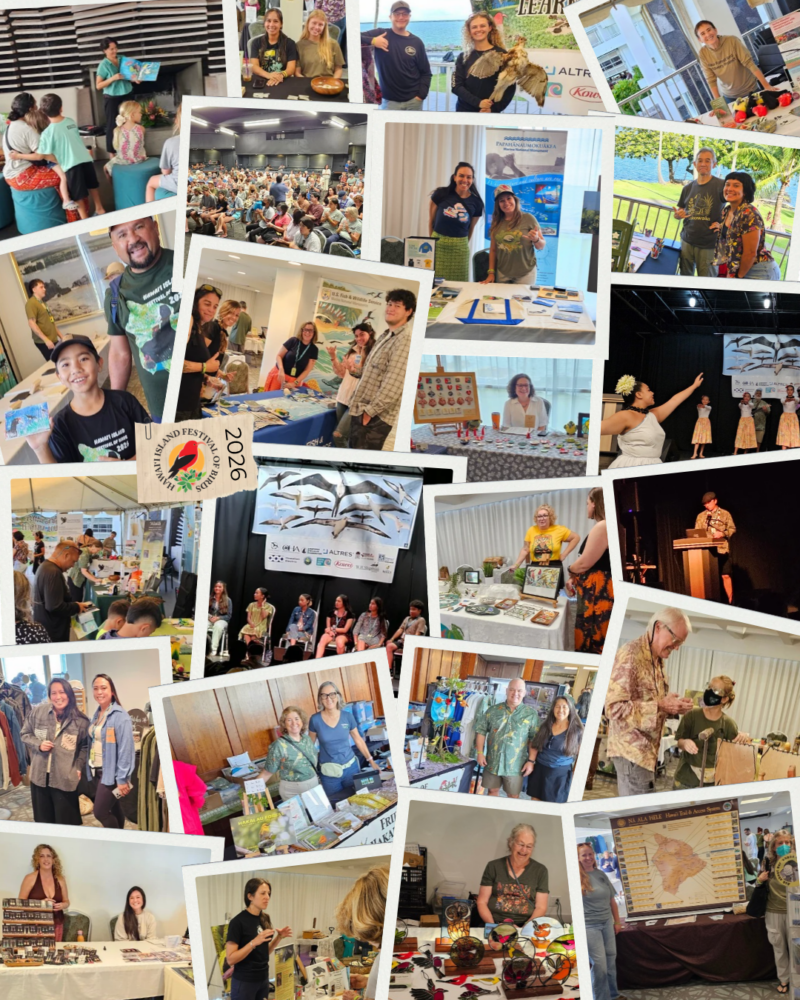 collage of pictures from the 2026 festival showing vendors and speakers at the event