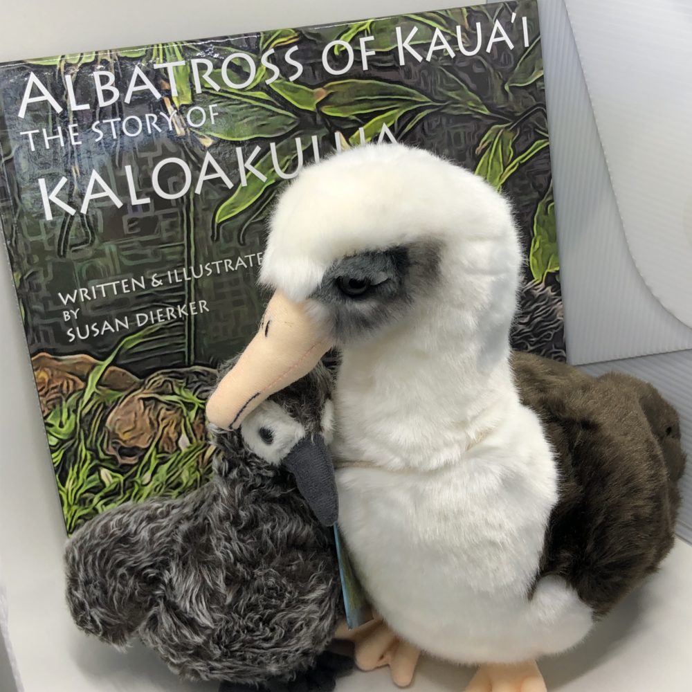 albatross of kauai