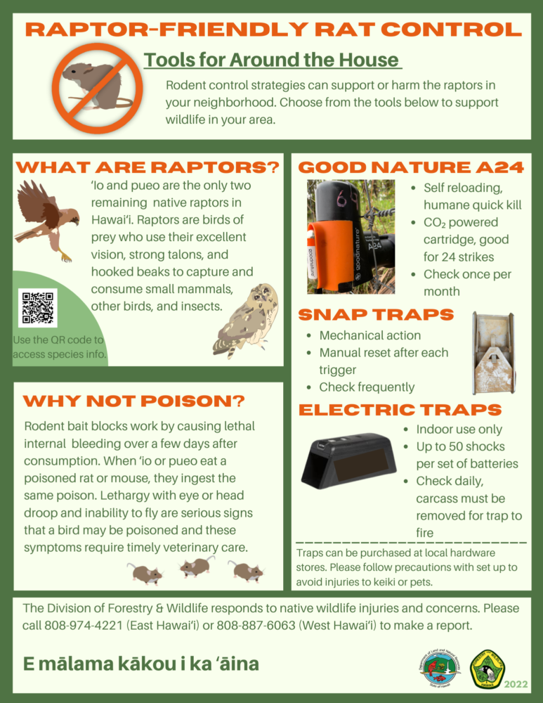 Raptor friendly rodent control fact sheet