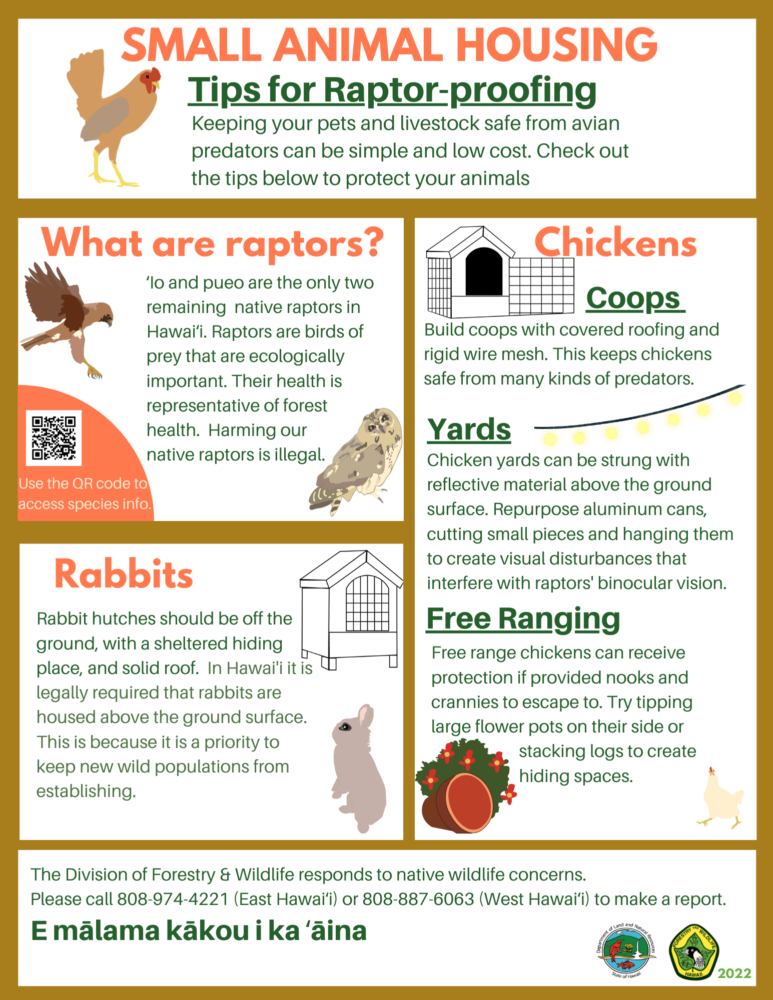 Small animal housing fact sheet