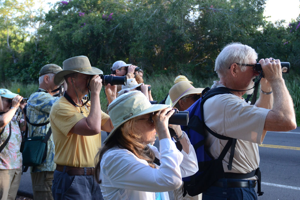 Morning Bird Walk