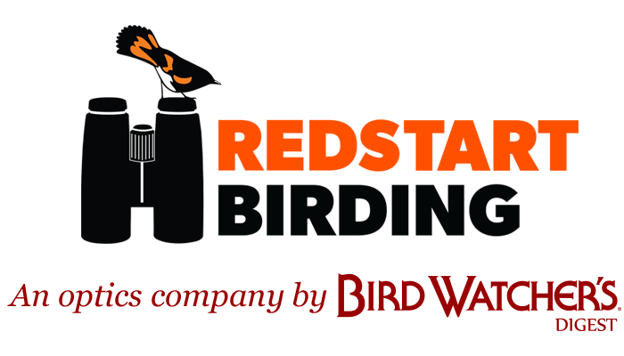 Redstart Birding logo